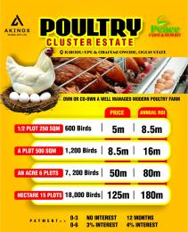 Commercial Land For Sale Poultry Cluster Estate With Modern Poultry Facilities Located In Igbodu Epe Lagos