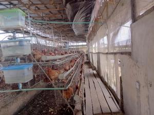 Mixed use Land For Sale Poultry Cluster Estate With Modern Facilities Located In Igbodu Epe Lagos