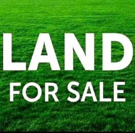 Land For Sale Abuja Street Banana Island Ikoyi Banana Island Ikoyi Lagos
