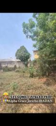Land For Sale Located In The Gated Alpha Grace Estate, Idi Ishin, Nihort, Ibadan Ibadan Oyo