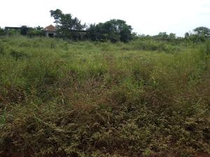 Land For Sale Sagamu Papalanto Road, Near Nestle Company Mowe Ogun area  Land For Sale Sagamu Papalanto Road, Near Nestle Company Mowe Ogun area