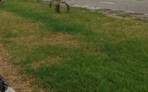 Land For Sale 44, Glover Road, Old Ikoyi Lagos Land For Sale 44, Glover Road, Old Ikoyi Lagos