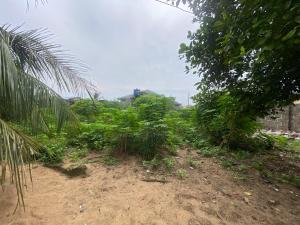 Residential Land For Sale Imeke Aradagun Badagry Lagos