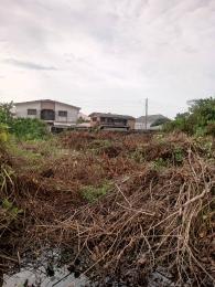 Residential Land For Sale Sunny Villa Estate Ado Ajah Lagos