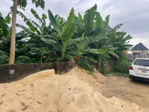 Residential Land For Sale Bond Filling Station Adegbose Oluodo Igbogbo Ikorodu Lagos