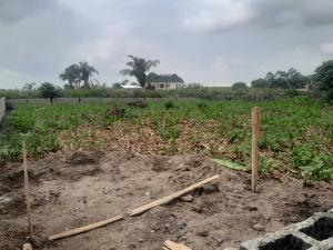 Residential Land For Sale Heritage Estate, Off 6th Avenue Road Festac Amuwo Odofin Lagos