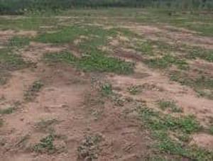 Residential Land For Sale Guzape Abuja Phase 1  Residential Land For Sale Guzape Abuja Phase 1