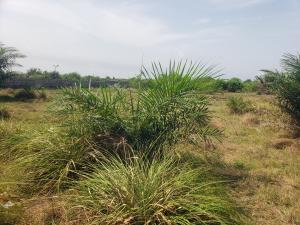 Mixed use Land For Sale Cherrywood Courts, Oshoroko, Along Lekki Free Trade Zone Free Trade Zone Ibeju-Lekki Lagos