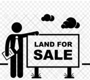 Mixed use Land For Sale Directly Facing Free Trade Zone Road Lekki Free Trade Zone Ibeju-Lekki Lagos