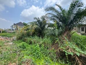 Residential Land For Sale Magodo Shangisha Shangisha Kosofe/Ikosi Lagos