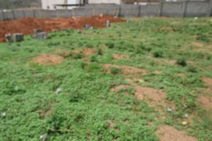 Residential Land For Sale Maitama Abuja Phase 1 