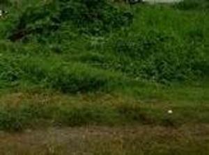 Land For Sale Banana Island, Ikoyi Lagos Land For Sale Banana Island, Ikoyi Lagos