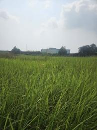 Mixed use Land For Sale Behind Emmy Hotel, Lakowe Golf Lakowe Ajah Lagos