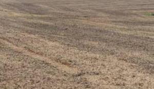 Land For Sale Cowrie Creek Estate Ikate Lekki Lagos Land For Sale Cowrie Creek Estate Ikate Lekki Lagos