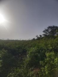 Land For Sale Ajayi Apata Sangotedo Lagos