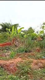 Mixed use Land For Sale Directly Along Ever Busy Business Hub Benin Ekpoma/auchi Express Road Just Little After Ambrose Alli University School Gate, Ekpoma, Edo State. Benin Edo