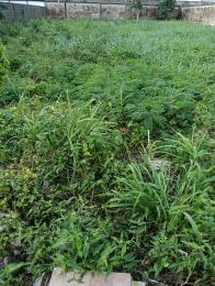 Residential Land For Sale Royal Garden Estate Ajah Lagos