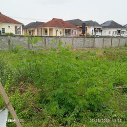 Residential Land For Sale Carlton Gate Estate Chevron Drive Lekki Lagos Residential Land For Sale Carlton Gate Estate Chevron Drive Lekki Lagos