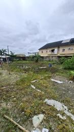 Land For Sale Ogombo Ajah Lagos