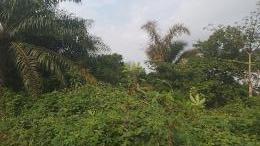 Mixed use Land For Sale Opposite Glass House, Off Ait Road, Opolo/elebele Road, Yenagoa. Bayelsa State Yenegoa Bayelsa