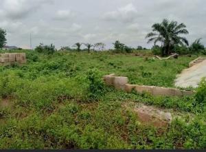 Mixed use Land For Sale Palms Residences, Near Nigerian Navy Estate, Asokoro Maitama Abuja Phase 1 