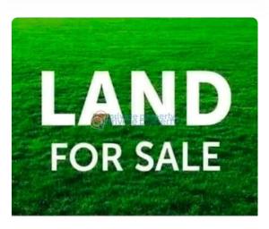 Land For Sale Ayoola Coker Gra Ikeja Lagos