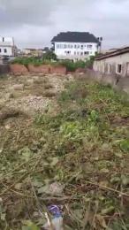 Mixed use Land For Sale Off Ilaje St Finbars Road Akoka Yaba Lagos Mixed use Land For Sale Off Ilaje St Finbars Road Akoka Yaba Lagos