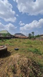 Land For Sale New Ife Road, Alakia, Ibadan. Ibadan Oyo