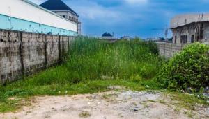 Residential Land For Sale Ogudu Road Lagos