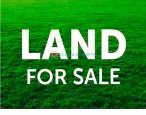 Land For Sale Bode Thomas / Western Avenue Surulere Lagos