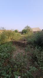 Land For Sale On Alafia Street, Directly Opposite Liberty Academy School, Off Akala Expressway, Ibadan. Ibadan Oyo