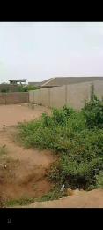 Residential Land For Sale Igbolomo Axis Oreyo Igbogbo Igbogbo Ikorodu Lagos