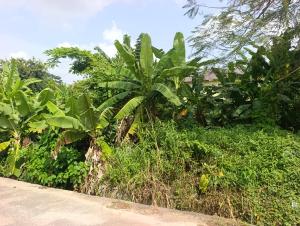 Land For Sale At Federal Housing Estate, Ikolaba Gra Ibadan Oyo