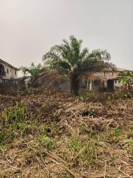 Residential Land For Sale Royal Palm Estate Badore Ajah Lagos Residential Land For Sale Royal Palm Estate Badore Ajah Lagos