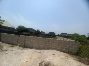 Mixed use Land For Sale Jehovah Witness Road Bogije Lakowe Ajah Lagos