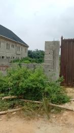 Residential Land For Sale Greenleaf Estate Oluodo Ikorodu Igbogbo Ikorodu Lagos