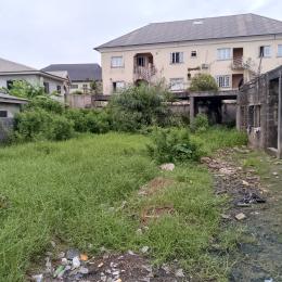Residential Land For Sale Royal Palm Estate Badore Ajah Lagos