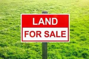 Residential Land For Sale Old Ikoyi Lagos