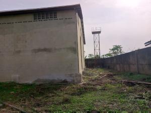 Warehouse For Rent Eleganza Industrial Complex Alatise Ibeju-Lekki Lagos Warehouse For Rent Eleganza Industrial Complex Alatise Ibeju-Lekki Lagos