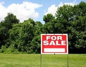 Land For Sale Adeola Odeku Victoria Island Lagos