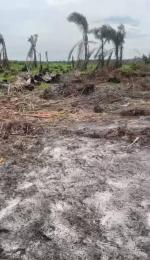 Land For Sale Sawmill, Gbagada Lagos