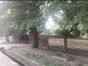 Mixed use Land For Sale Eti Osa Bourdillon Ikoyi Lagos Mixed use Land For Sale Eti Osa Bourdillon Ikoyi Lagos