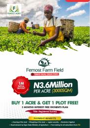 Mixed use Land For Sale Femost Farm Field Obafe Isiun Ogun State Agbara (Ogun) Ogun area  Mixed use Land For Sale Femost Farm Field Obafe Isiun Ogun State Agbara (Ogun) Ogun area
