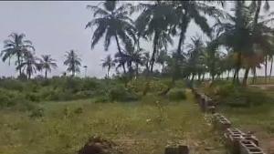 Land For Sale Ibeju Lekki Expressway Free Trade Zone Ibeju-Lekki Lagos