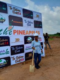 Commercial Land For Sale The Pineapples Estate Agbowa Ikorodu Ogun Ogun area  Commercial Land For Sale The Pineapples Estate Agbowa Ikorodu Ogun Ogun area