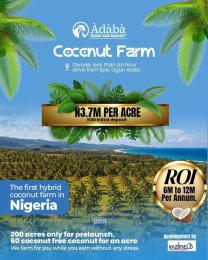 Residential Land For Sale Àdàbà Coconut Farm & Resort, Located In Owode, Obafemi Owode Ogun