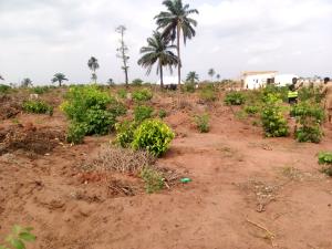 Mixed use Land For Sale Northland Beachfront Land Located In A Fast Developing Area,ode Omi Ibeju-Lekki Lagos Mixed use Land For Sale Northland Beachfront Land Located In A Fast Developing Area,ode Omi Ibeju-Lekki Lagos
