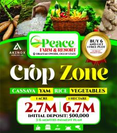 Commercial Land For Sale Peace Farm And Resort Where Agribusiness Becomes Effortless In Ajebo Obafemi Owode Ogun