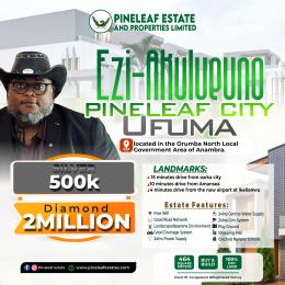 Residential Land For Sale Ezi Akuluno Pineapple Leaf City. Orumba North Anambra
