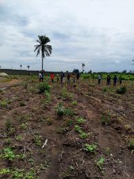 Residential Land For Sale Coral City Iloti Epe Ijebu Ogun State Ogun Ogun area  Residential Land For Sale Coral City Iloti Epe Ijebu Ogun State Ogun Ogun area